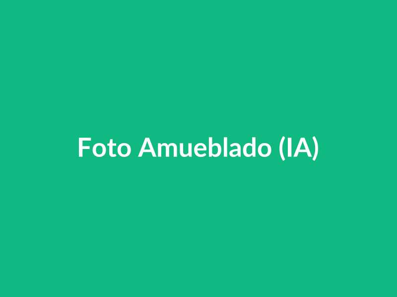Amueblado